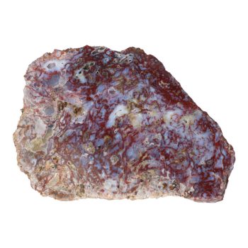   Kalcedonos piros jáspis, egyoldalon csiszolt ásvány szelet 145x105x20 mm (magyar)