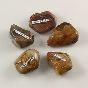 Marokkő, kovásodott fa (8)