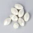 Shell pearl fehér 6 lapú hordó, 19 mm